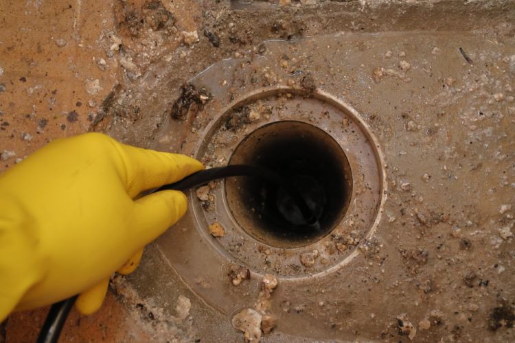 Causes Of Blocked Drain